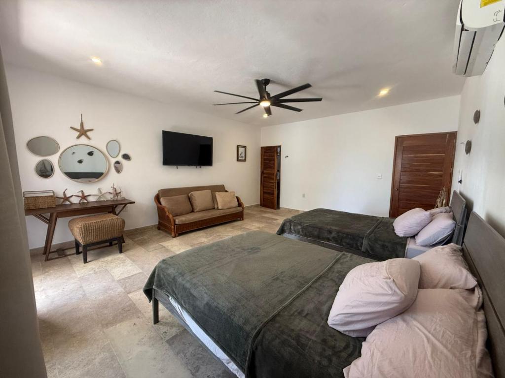 Casa blue - 4
