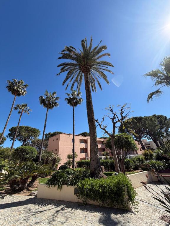 Appartement entre Cannes et Antibes - 4