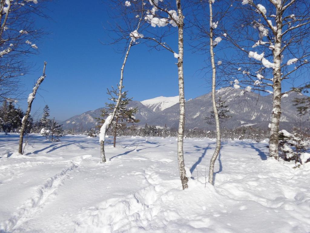 Surrounding environment