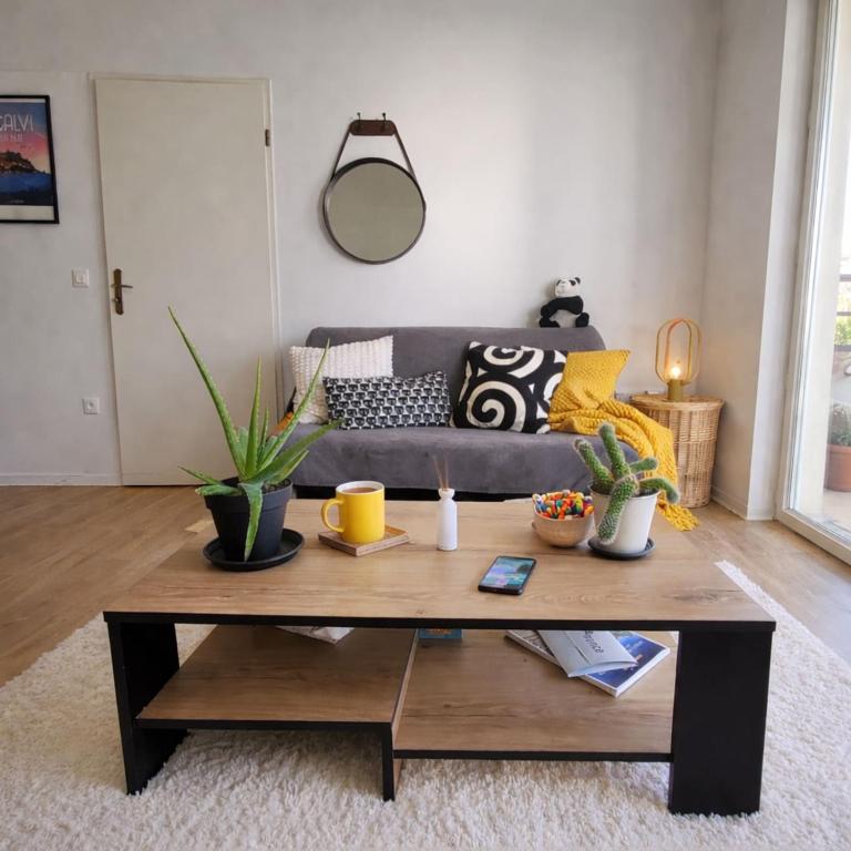 Le Salluste cosy T2 with balcony in Strasbourg - 2