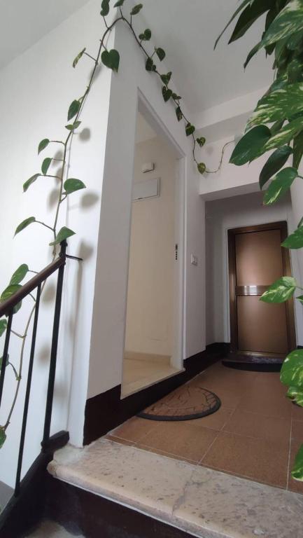 Penthouse in the center of Cdiz - 3