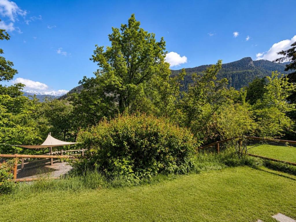 L'Aiglon- Piscine Naturelle Privatisable - 5