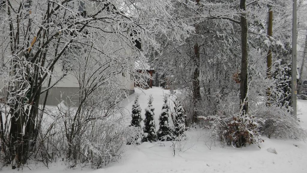 Apartmani Eho Zlatibor photo