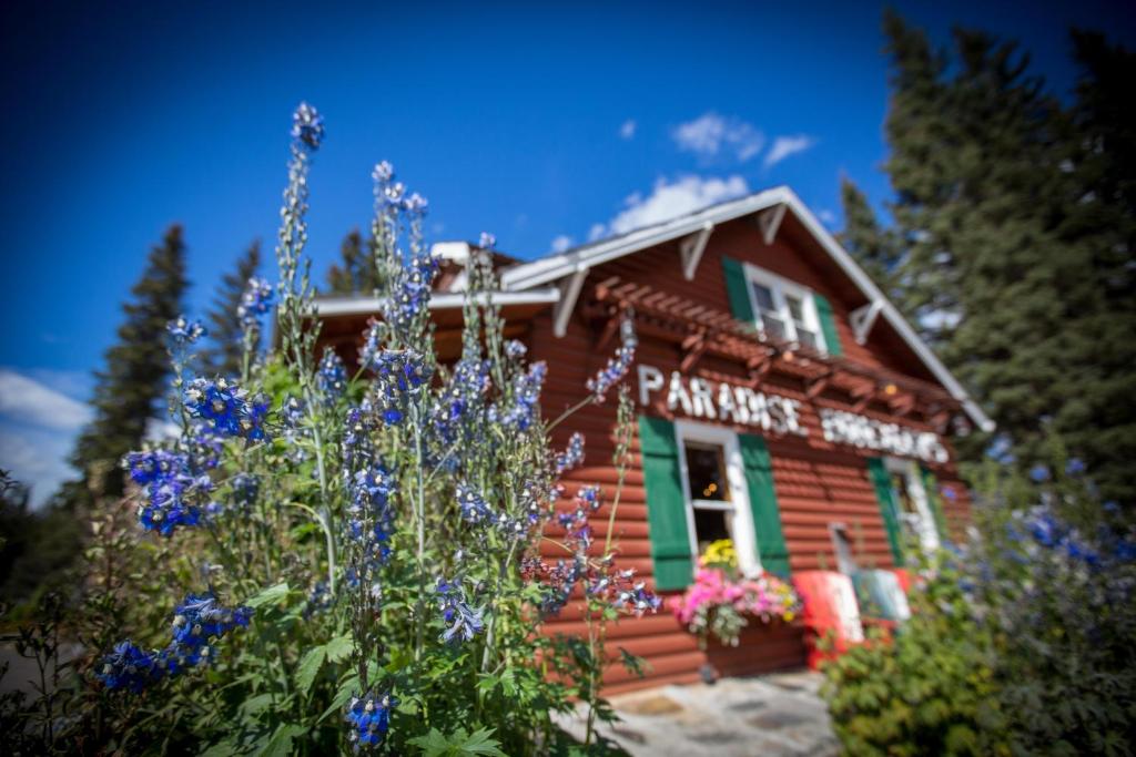Paradise Lodge and Bungalows photo