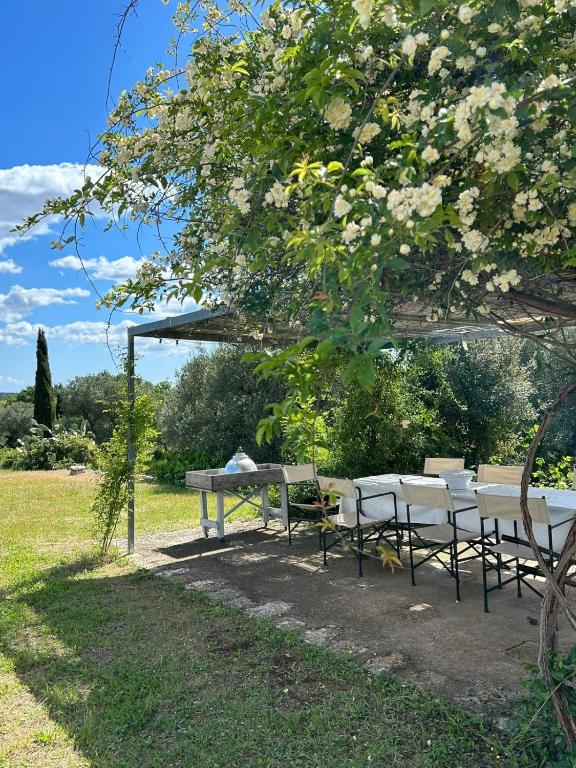 Casina Gargiulo - 3