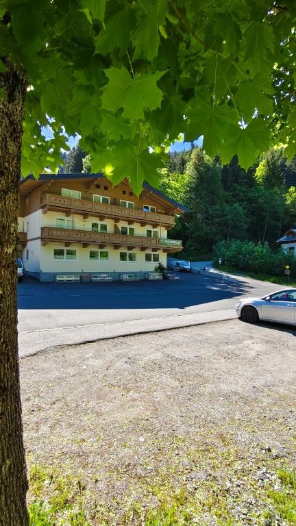 Haus Dienten Apartments nahe den Bergbahnen mit HochkönigCard - 5