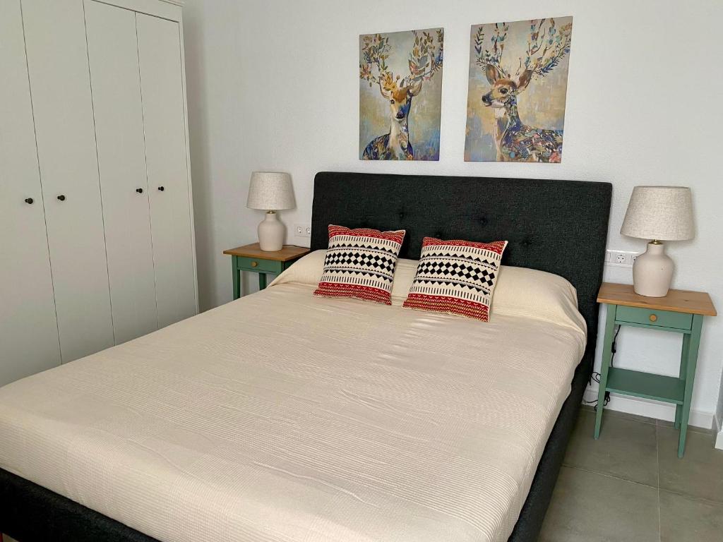 Apartamento Luz de Conil AIRE ACONCIONADO Y WIFI -SOLO FAMILIAS O PAREJA- NO ACEPTAMOS GRUPOS- - 5