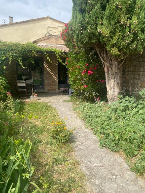 La Maisonnette de Bédoin Mont Ventoux - Self Check In - 4