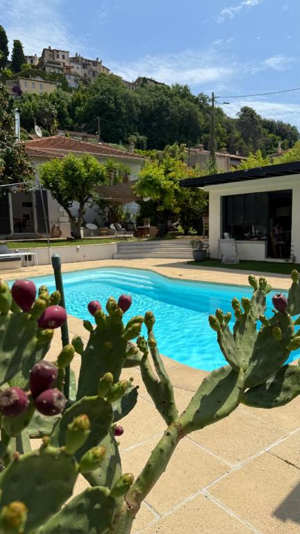 Jolie maison niçoise - 2
