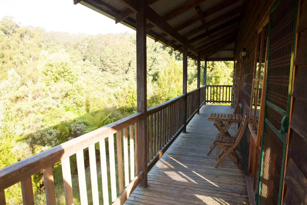 Tall Trees Eco Retreat photo