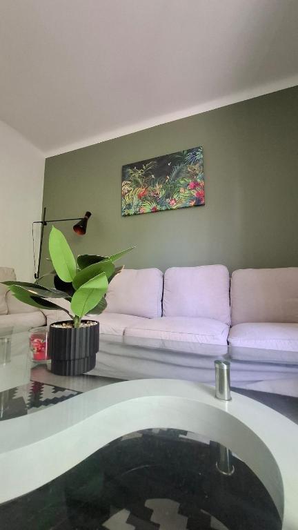Bel Appartement et Parking - 3