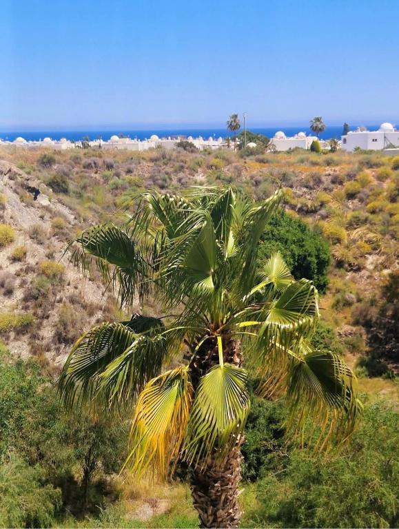 Reka Casa - 3