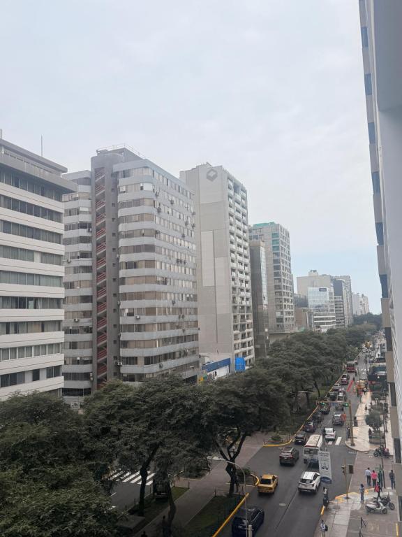 Pardo Miraflores - 3