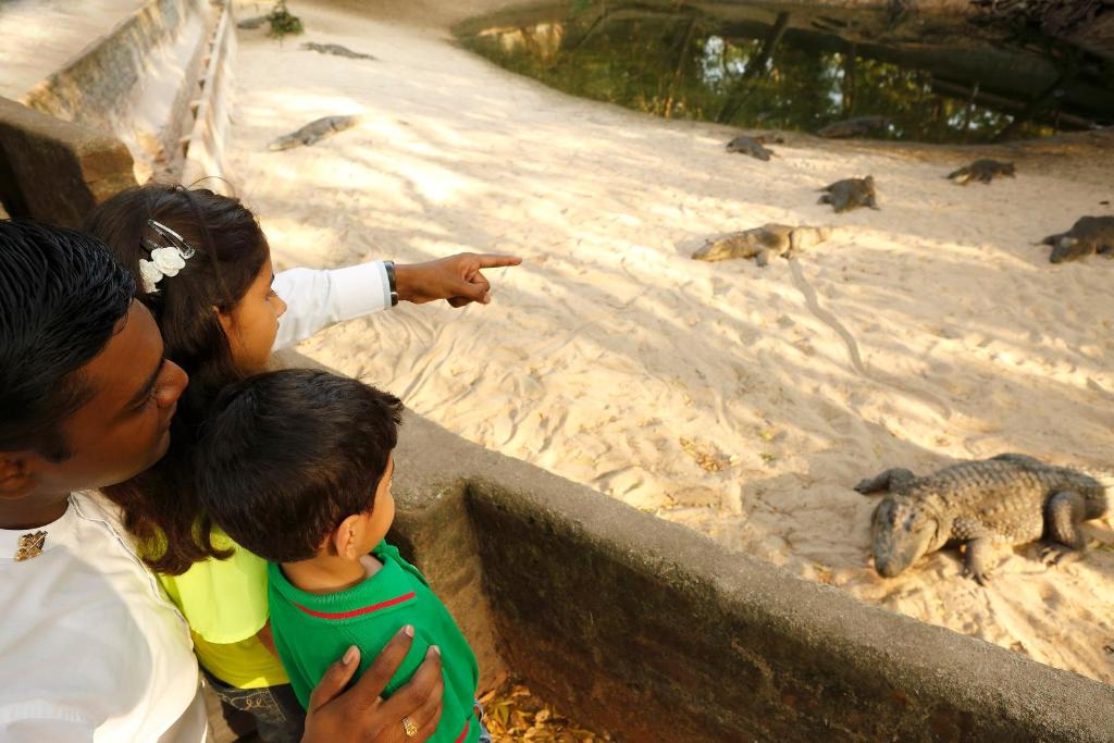 Nearby attraction