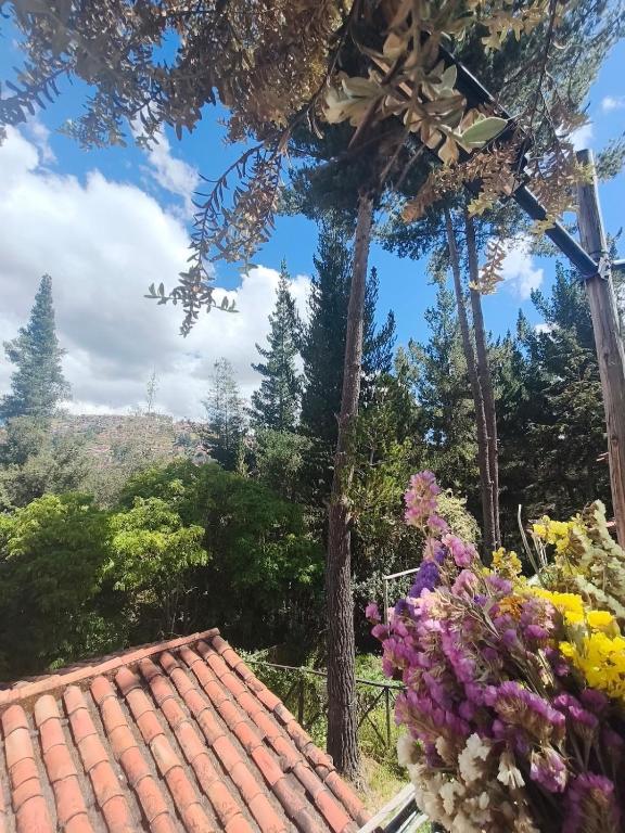 Cusco Forest Gem, 1 Min to Sacsayhuamán, Near the Main Square - 4