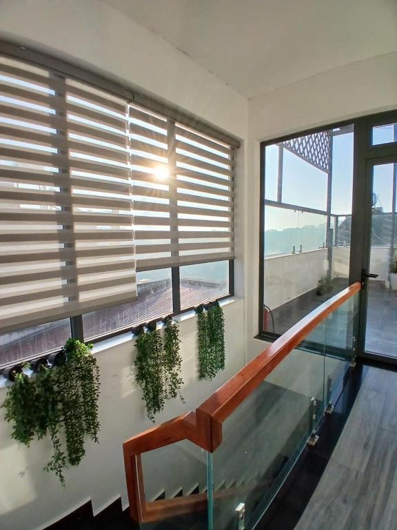 Aloha Homestay "5 bedrooms - 1 kitchen - 1 terrace"