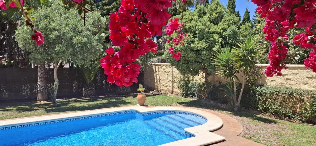 Andalusian pool villa 6 pax in subtropical garden - 3