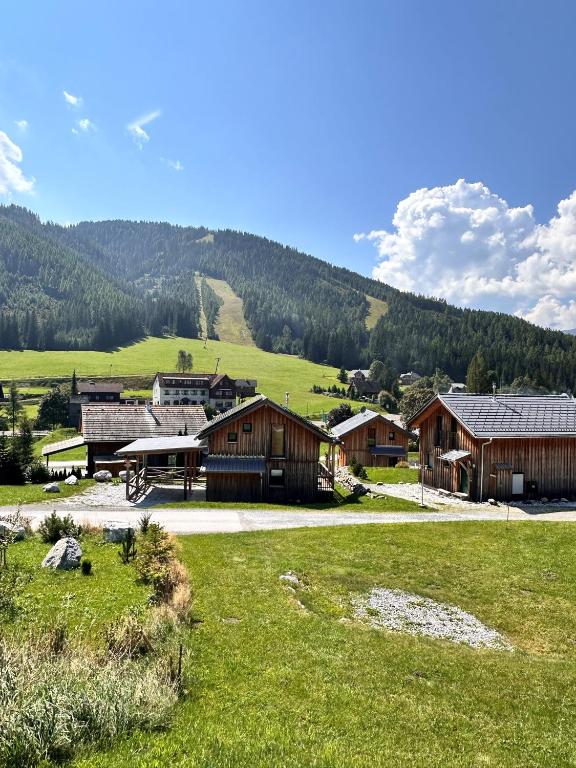 Chalet in Hohentauern - Chalet Ana - 4