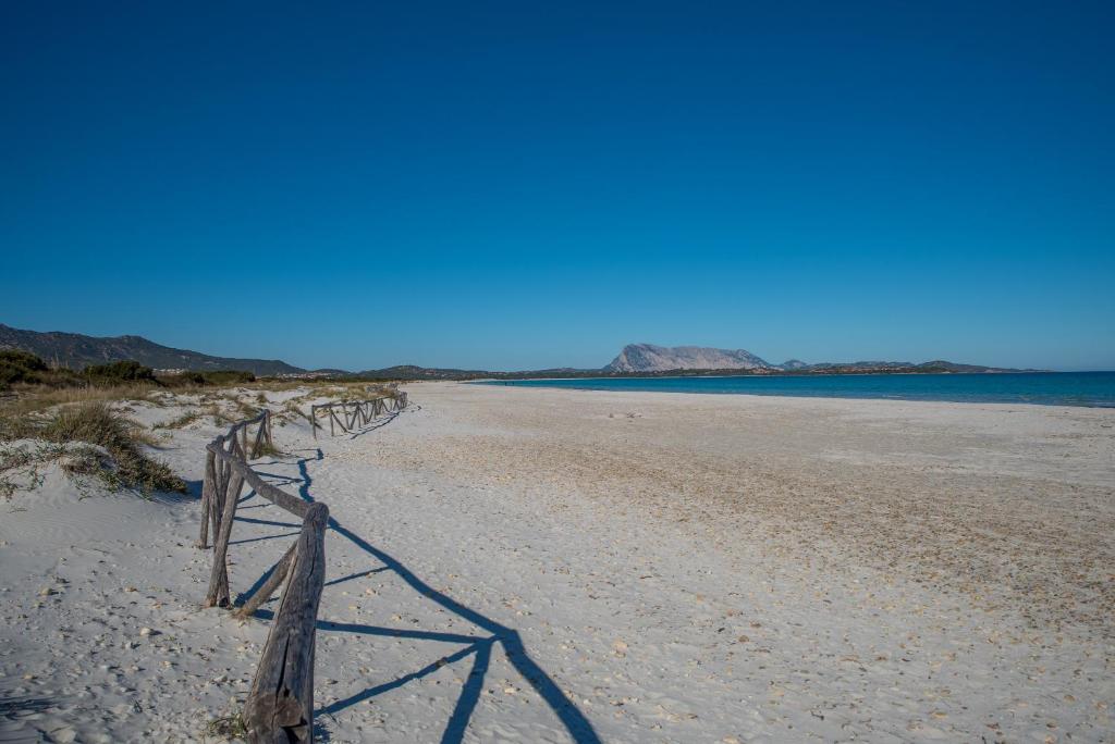 Trilocale centro e mare San Teodoro - 3