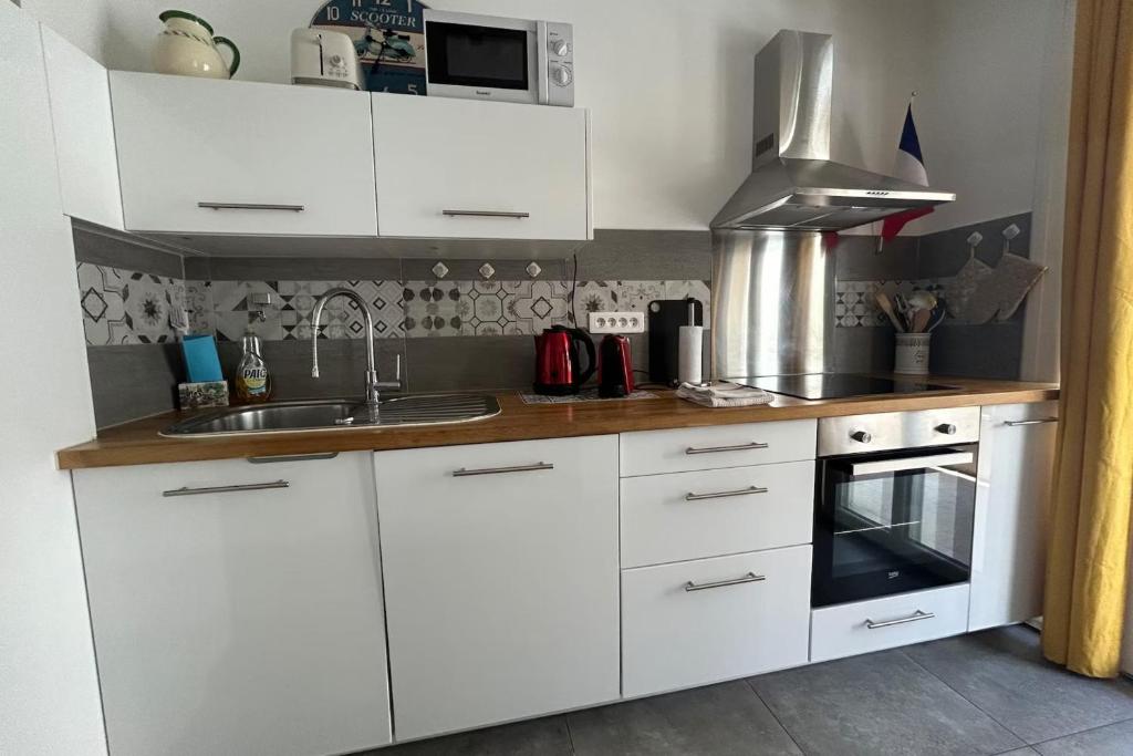 Bright Apt between Antibes & Juan-les-Pins - 4