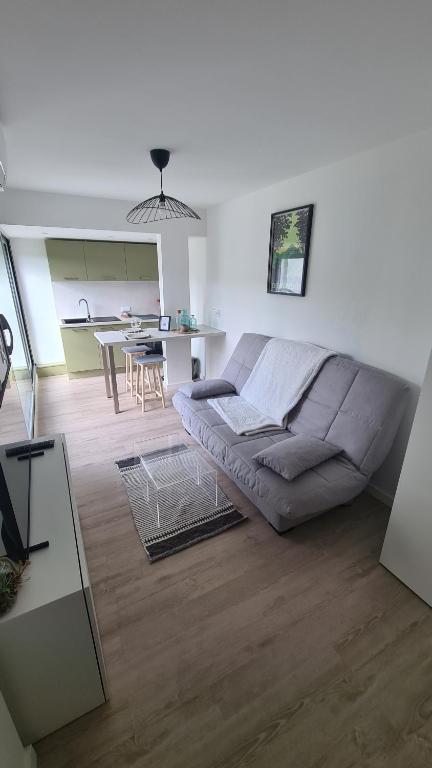 Studio moderne Climatisé Meylan centre proche CHU - 2