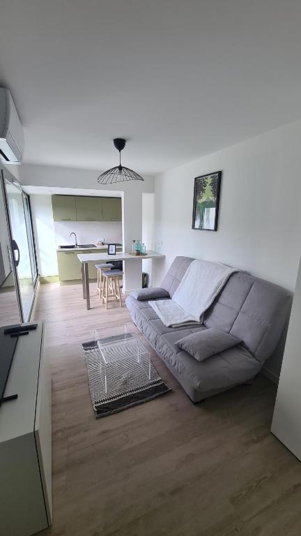 Studio moderne Climatisé Meylan centre proche CHU - 4