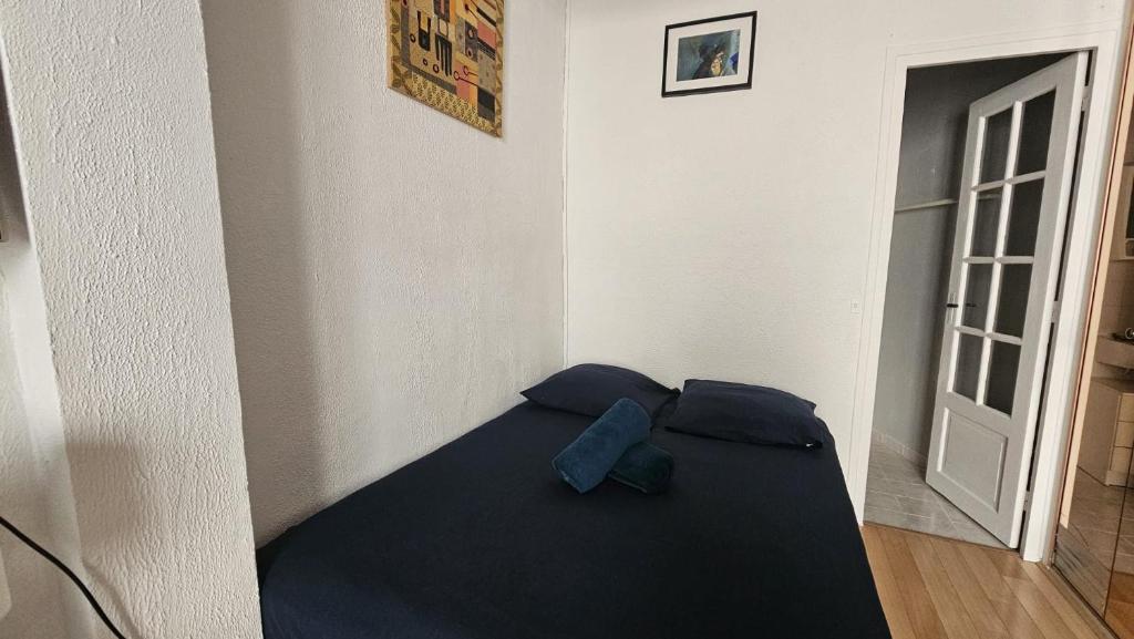 JOLI STUDIO RENOVE EN PLEIN COEUR DE L'ÂME De PARIS QUARTIER PANTHEON , NOTRE-DAME - 2