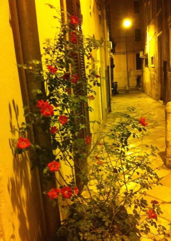Malvasia rooms - 5