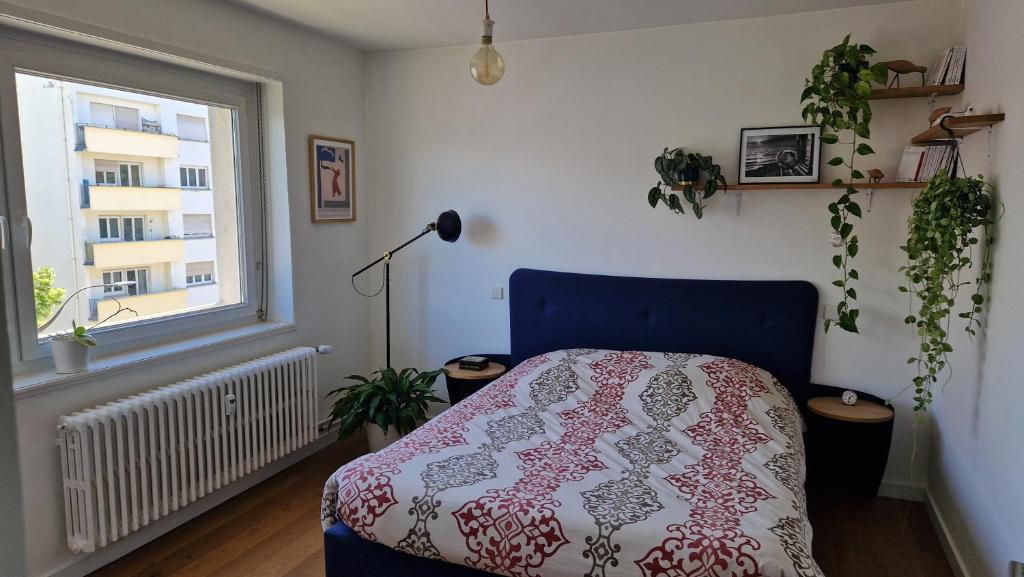 Charmante chambre à proximité des institutions européennes - 1