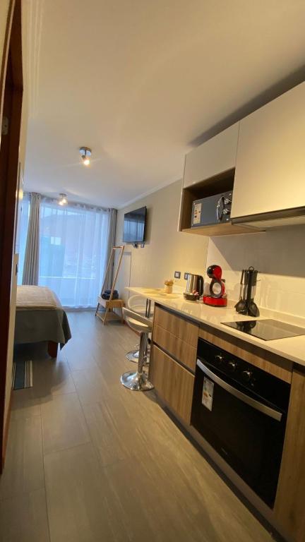 Nice studio in Peninsula de Cavancha - 5