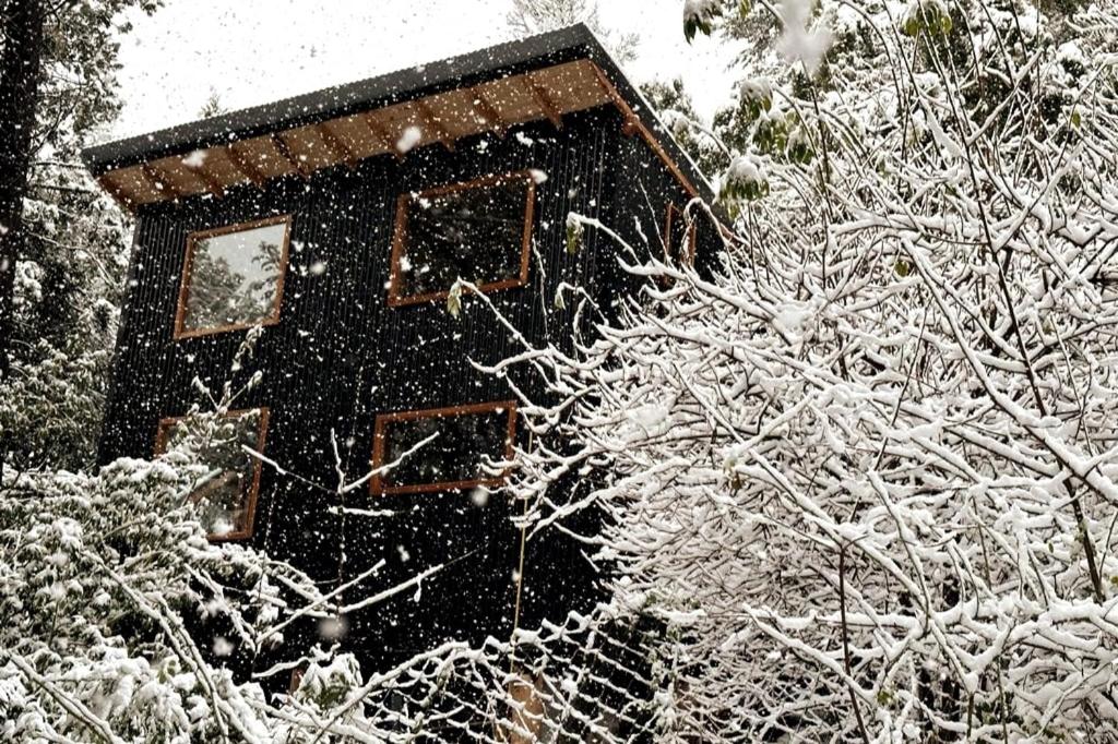 Cabaña Vertiente, Luminosa tiny house del bosque - 2