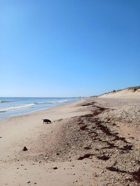 Appartement bord de plage - 5