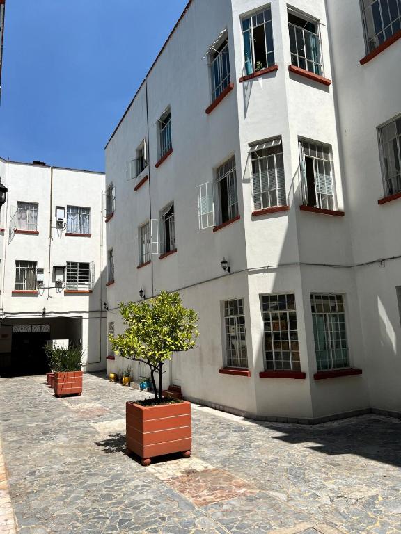 Centrally located and cozy accommodation in CDMX - 3