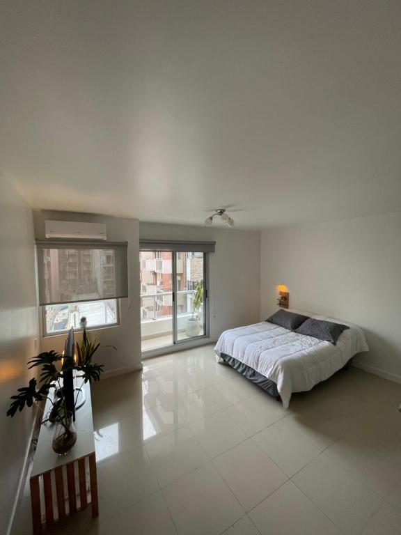 Studio Premiun Belgrano - 5