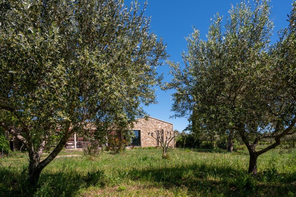 Magnifique villa avec piscine au coeur des vignes - 2