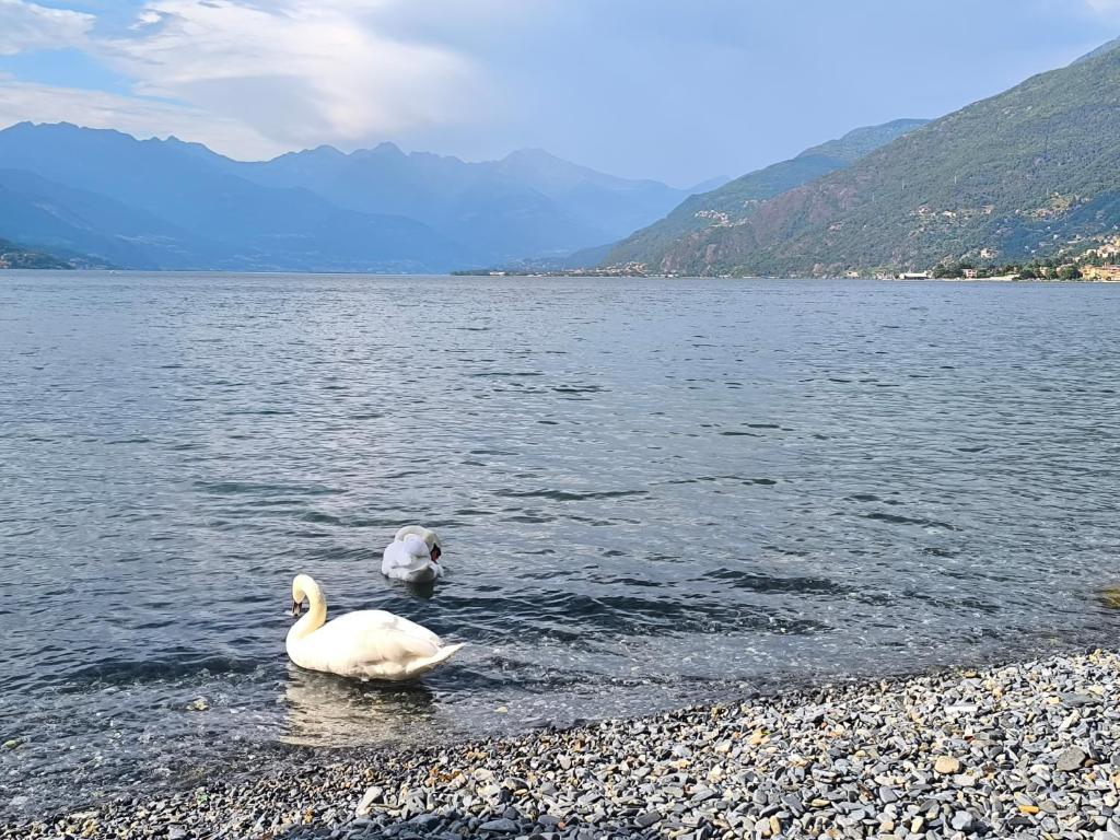 Villa Grazie Mille - Charming Lake Como Escape - 5