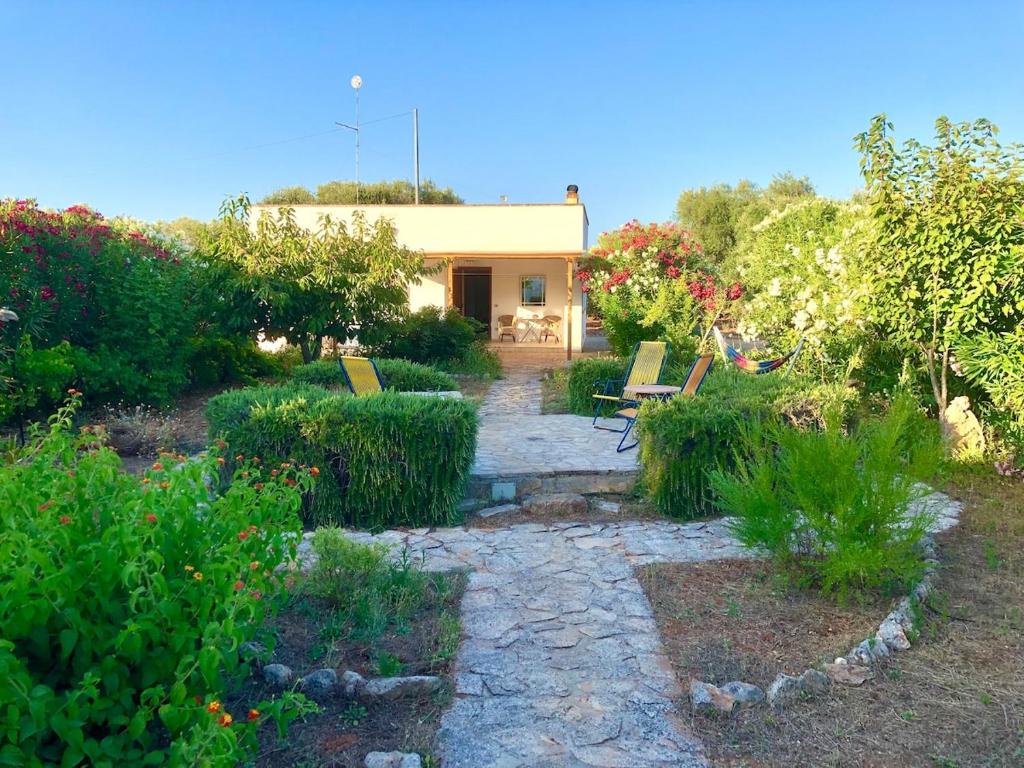 Casa e Trullo 57 Oliviers - 4