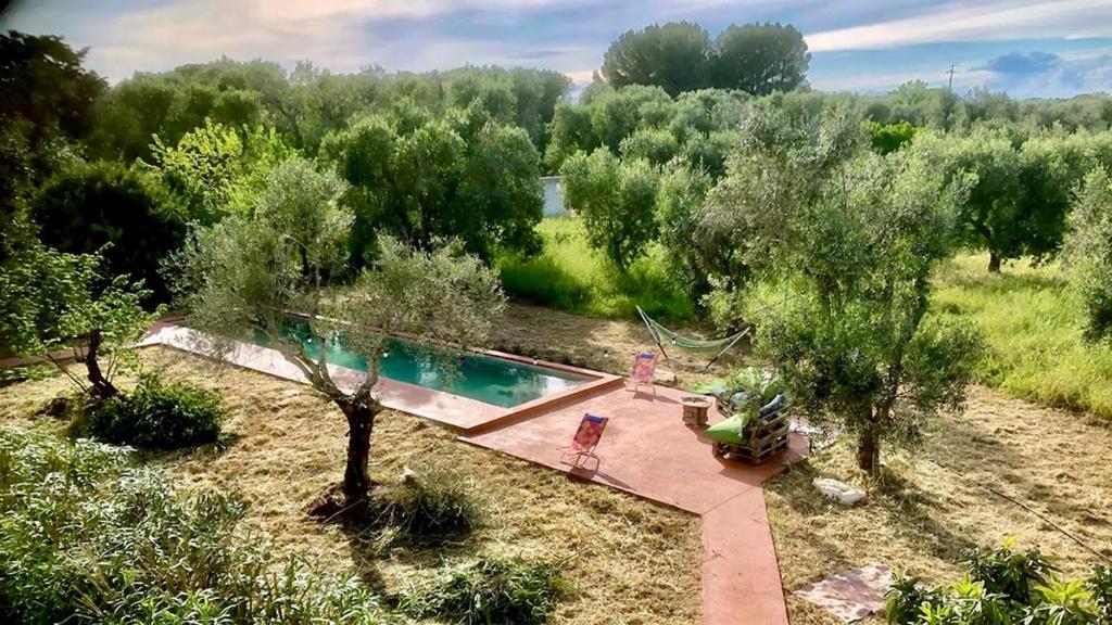 Casa e Trullo 57 Oliviers - 1