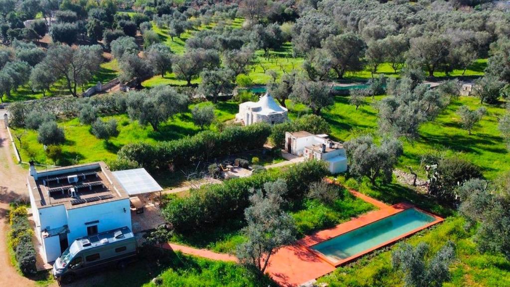 Casa e Trullo 57 Oliviers - 2