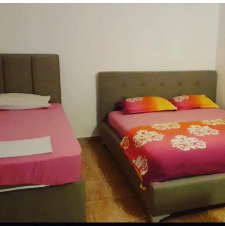 Apartmani Ljilja - 1