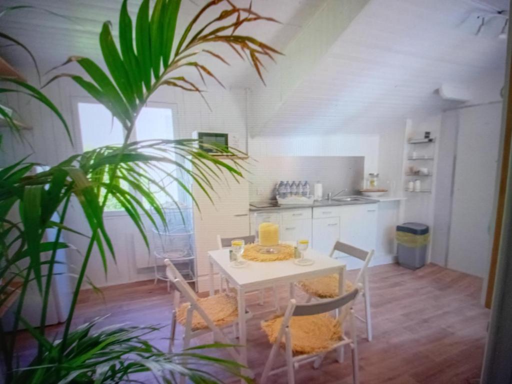 Chic Villa Webb Cannes - 3