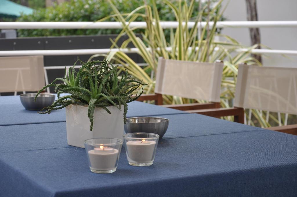 Hotel Garden - 4
