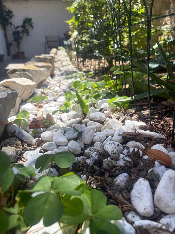 Il Giardino Nascosto - 4