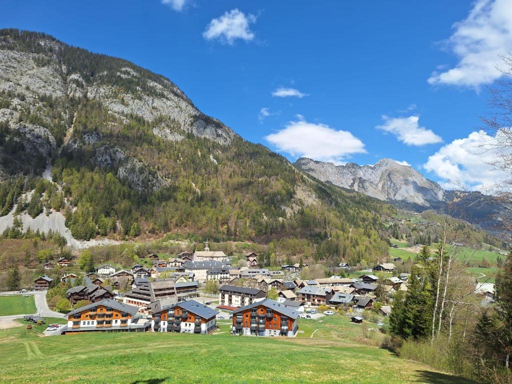 Les Chalets d'Offaz - Centre Abondance - Alp'in C - 2