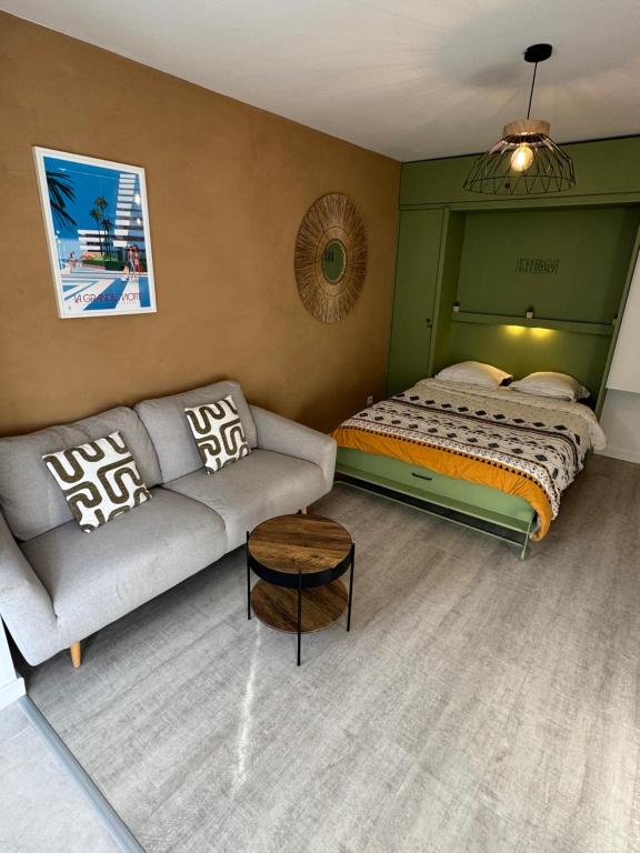 Studio cosy 30 m2 climatisé au centre ville de LGM - 4