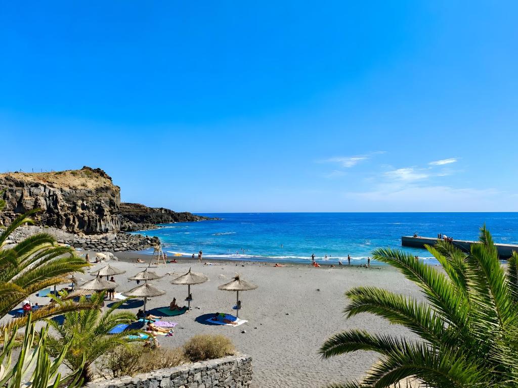 1 Bedroom Apartment Aquaviva - 3