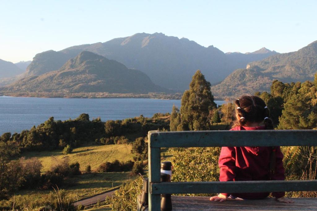 Cabaña el tilo - vistas al Lago Ranco - 1