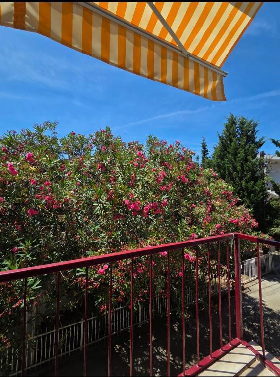 Apartman Sutomore - 3