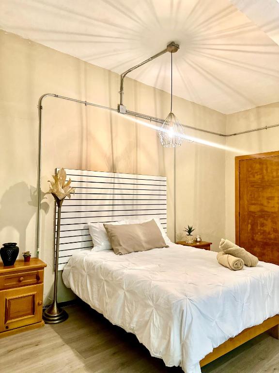 Suite in Oaxaca Centro - 3