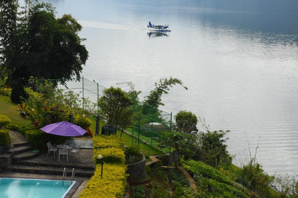 View